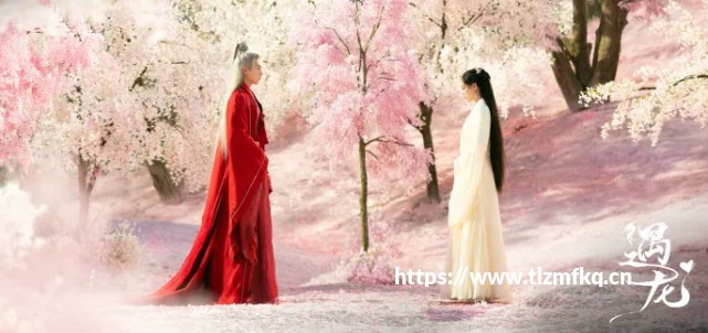 拒绝无脑刷屏，五款口碑游戏让闲暇真正有滋味